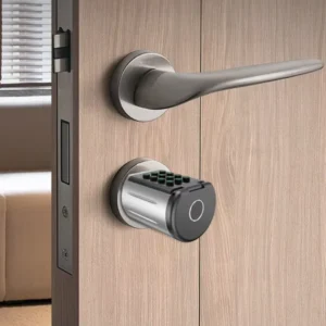 LEROND Smart Euro Cylinder Lock Application