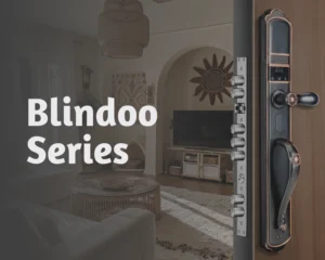 Serrures Connectées pour Portes Blindées | Sécurité Haut de Gamme | Série Blindoo